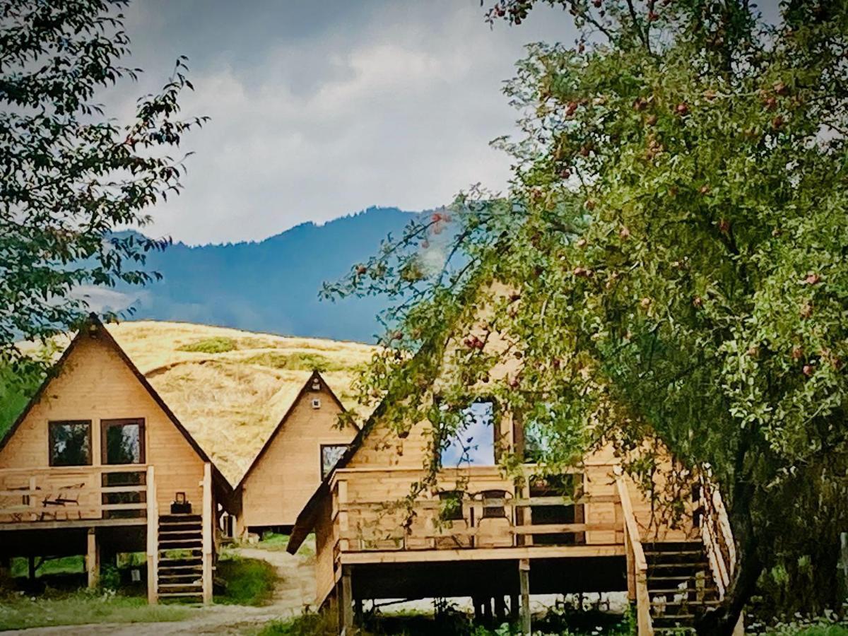 Cabanele Lu' Dinu Curtea De Arges Exterior photo